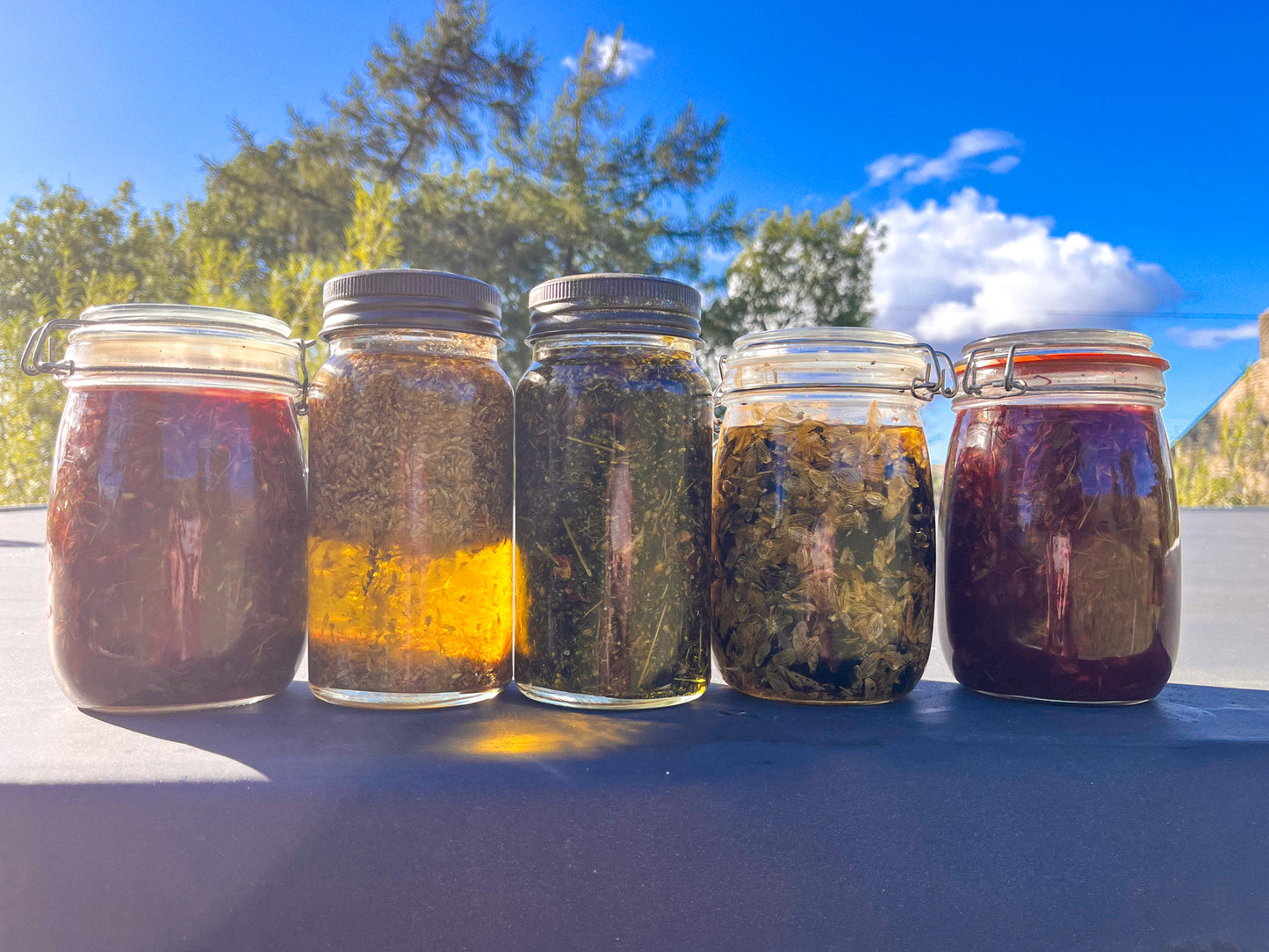 Breast & Womb Oil - mugwort, rose and yarrow