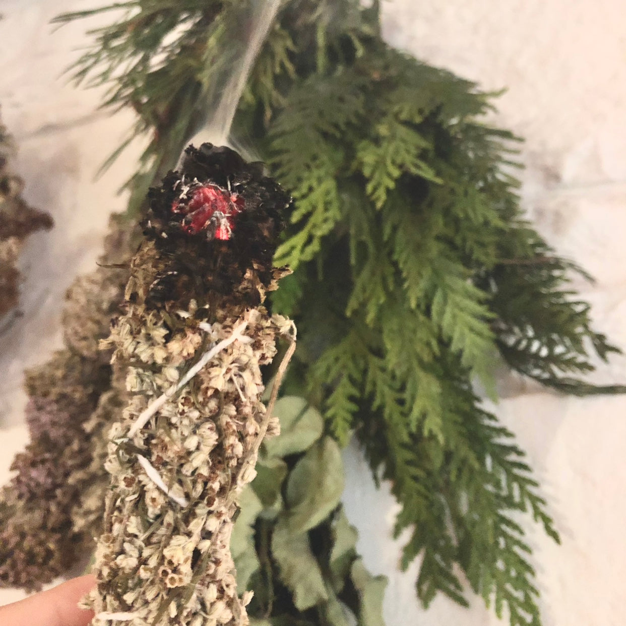 Blessing herbs | Smudge bundles