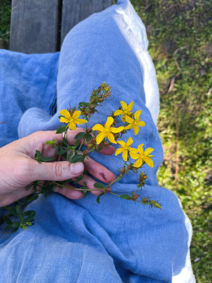 St. John’s Wort herbal Oil