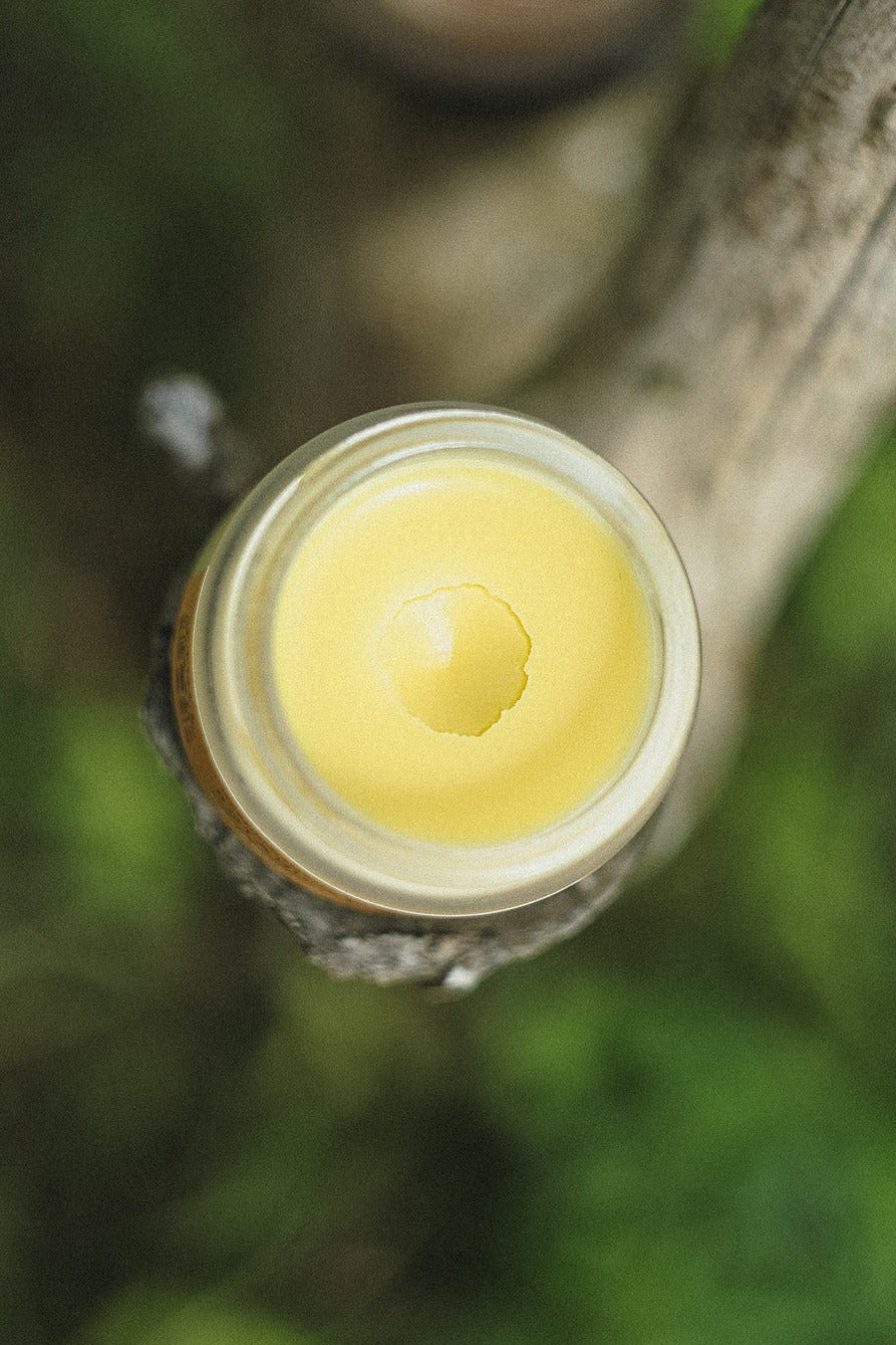 Top-down view of a small glass jar filled with pale yellow balm or wax, mounted on a weathered wooden post outdoors, with a second similar jar blurred in the background against a green natural backdrop.