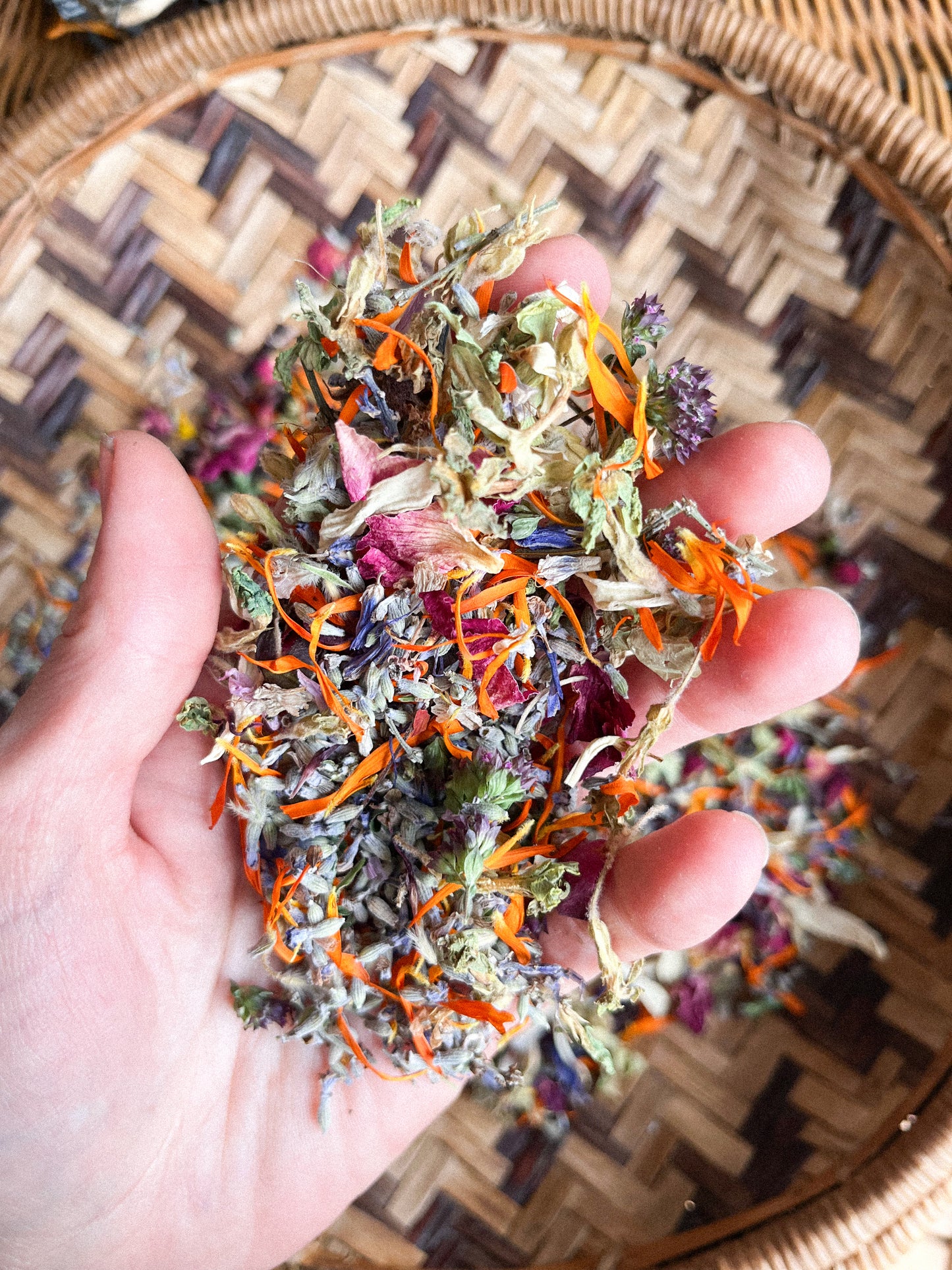 Confetti Wildflora Colourful