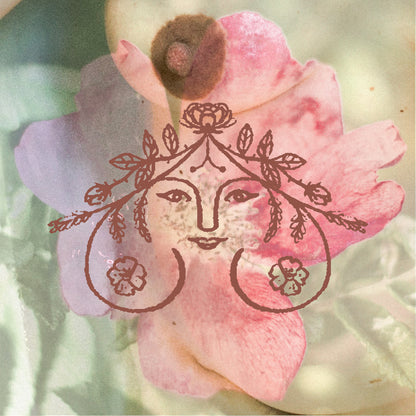 Breast & Womb Oil - mugwort, rose and yarrow