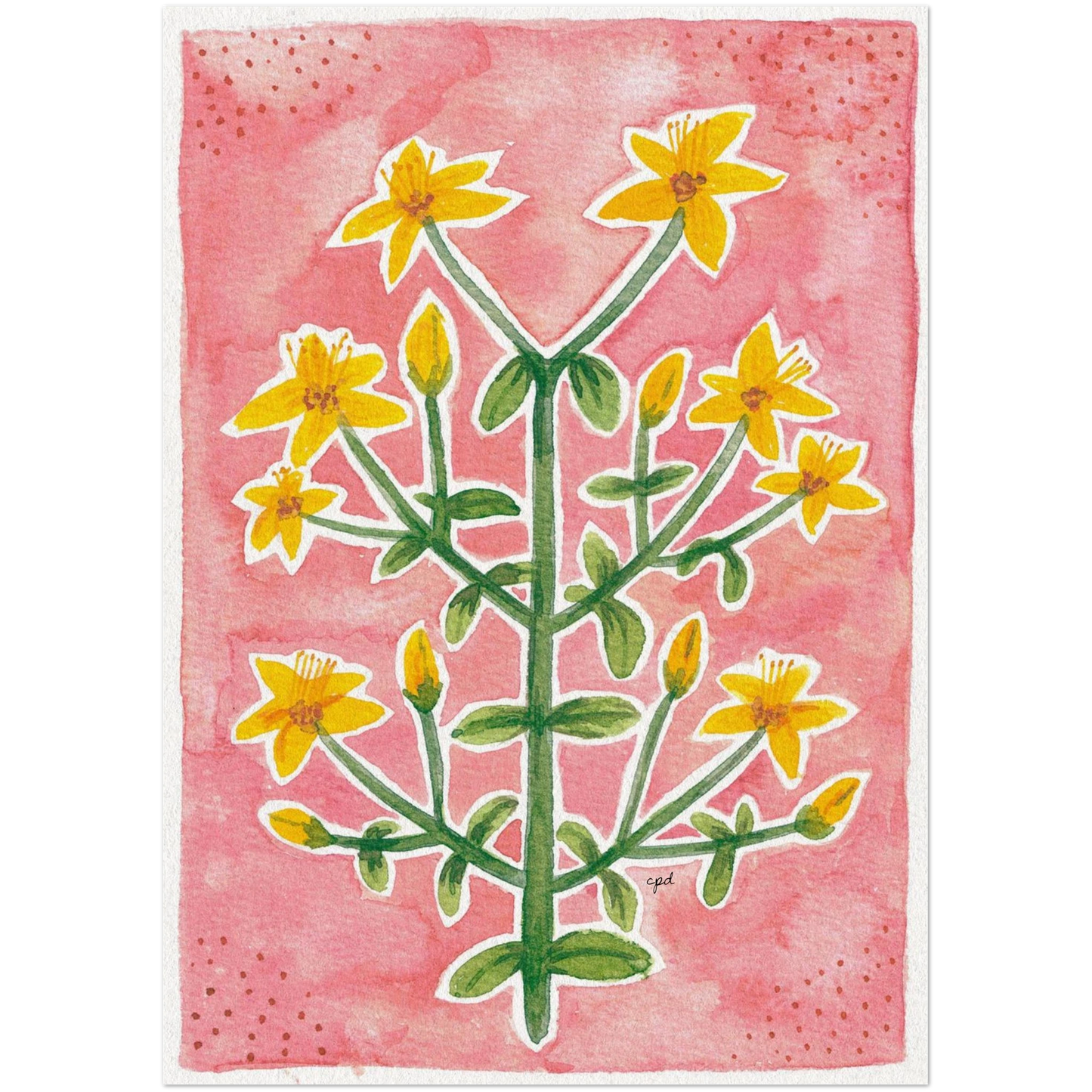 95d295c5-dcd2-4f35-8b2f-28abc2b499e9