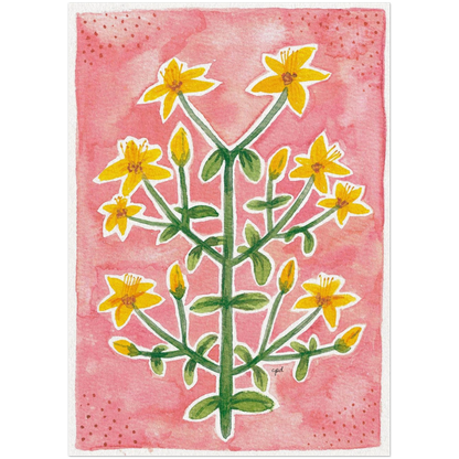 95d295c5-dcd2-4f35-8b2f-28abc2b499e9