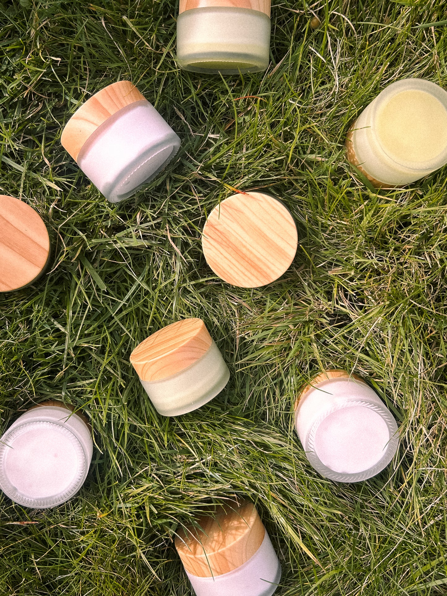 Face Cream - Whipped Tallow - Sacred Rose