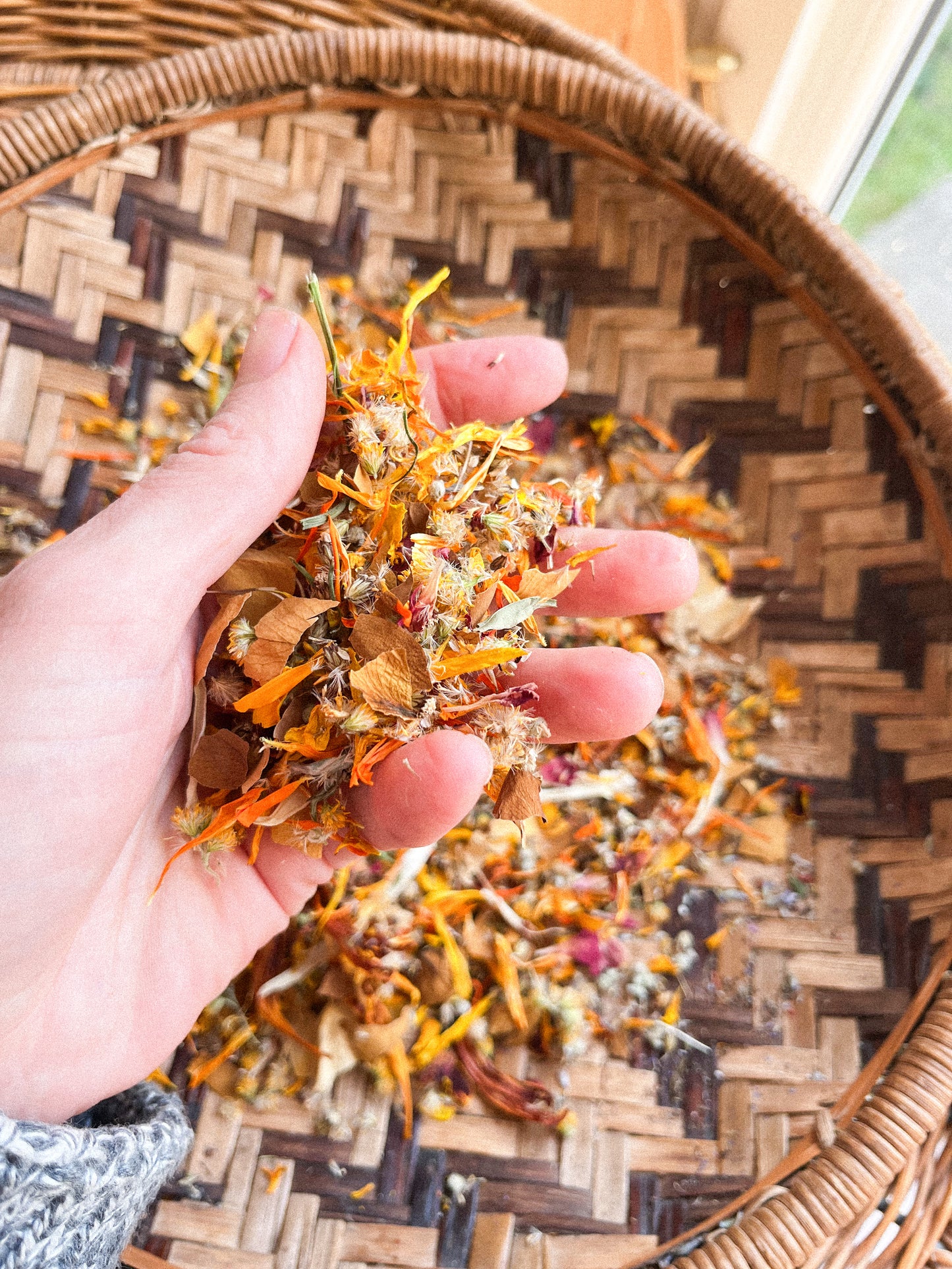 Confetti Wildflora Autumn