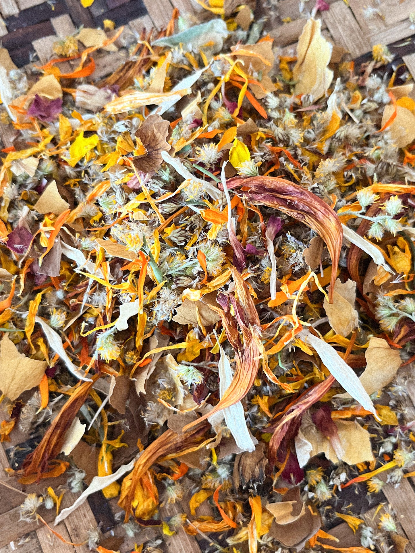 Confetti Wildflora Autumn