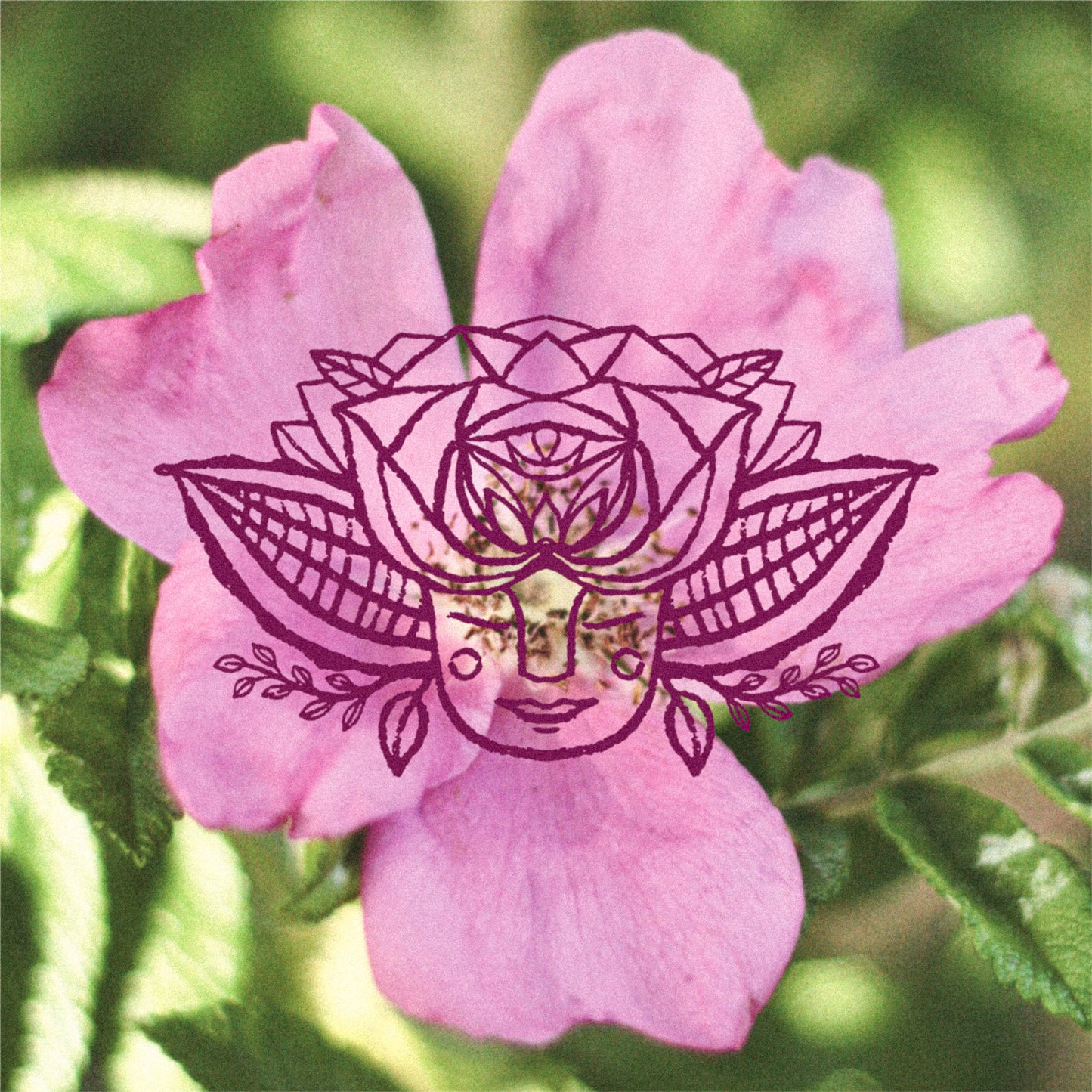 Tend to Mamma Postpartum Herbal Support bundle