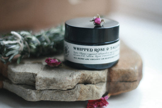 Whipped Tallow skin butter | rose