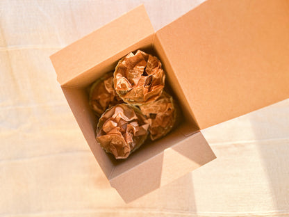 Forager’s fire lighters / starters