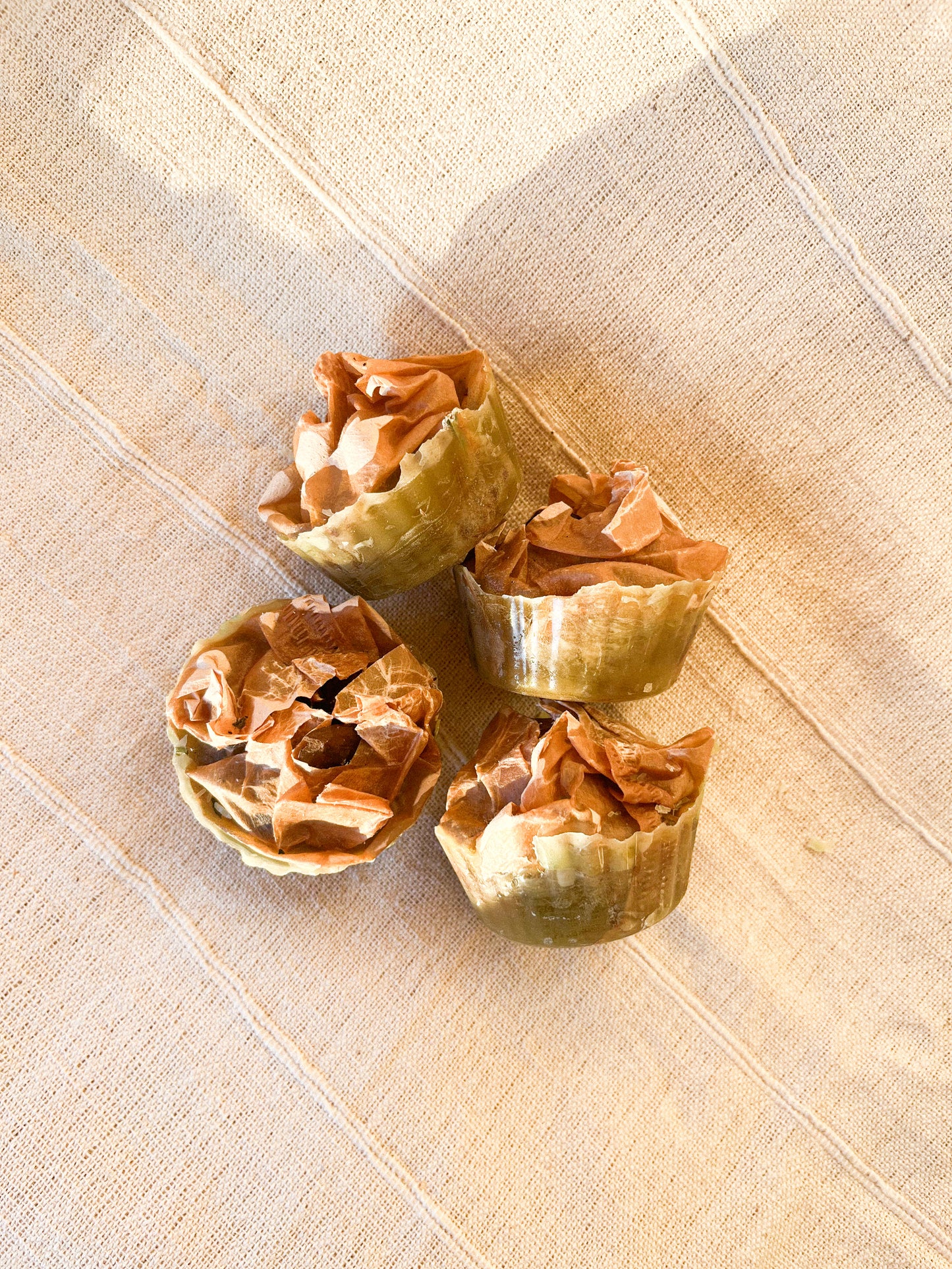 Forager’s fire lighters / starters