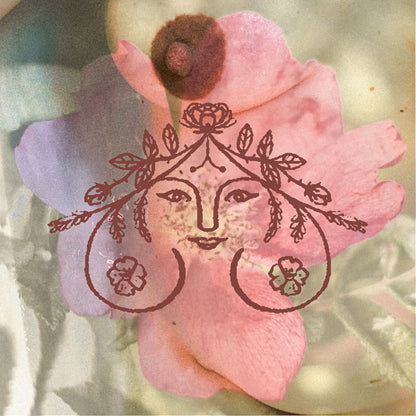 Tend to Mamma Postpartum Herbal Support bundle