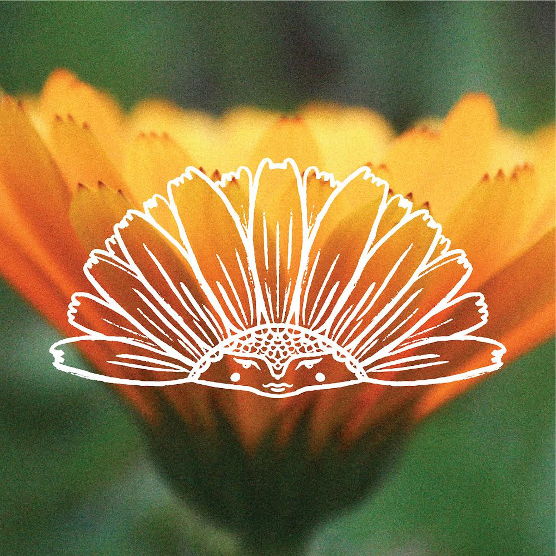 A close-up photograph of a bright orange flower with a white line-art illustration of a smiling flower face layered over the center, set against a soft blurred green background.