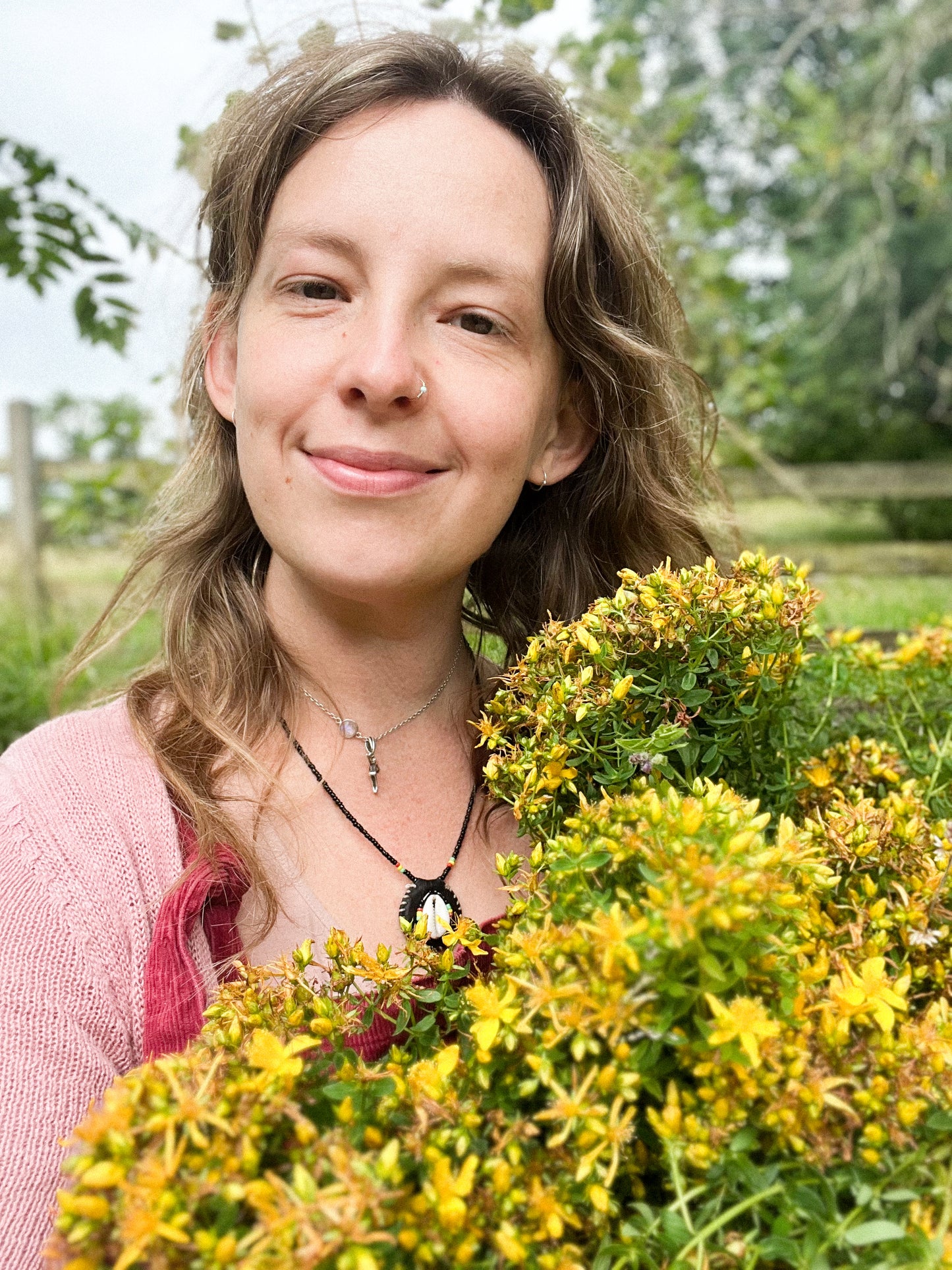 St. John’s Wort herbal Oil