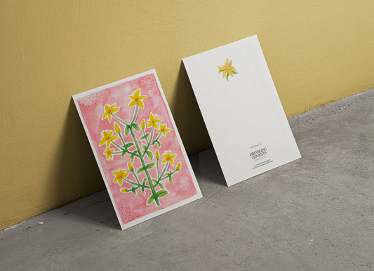 Saint John's Wort Art Postcards with envelopes | Pack of 10
