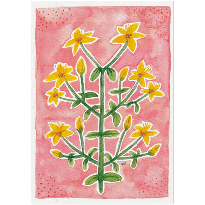 b822aaa0-faef-4c2d-ae31-12d146ae4a17