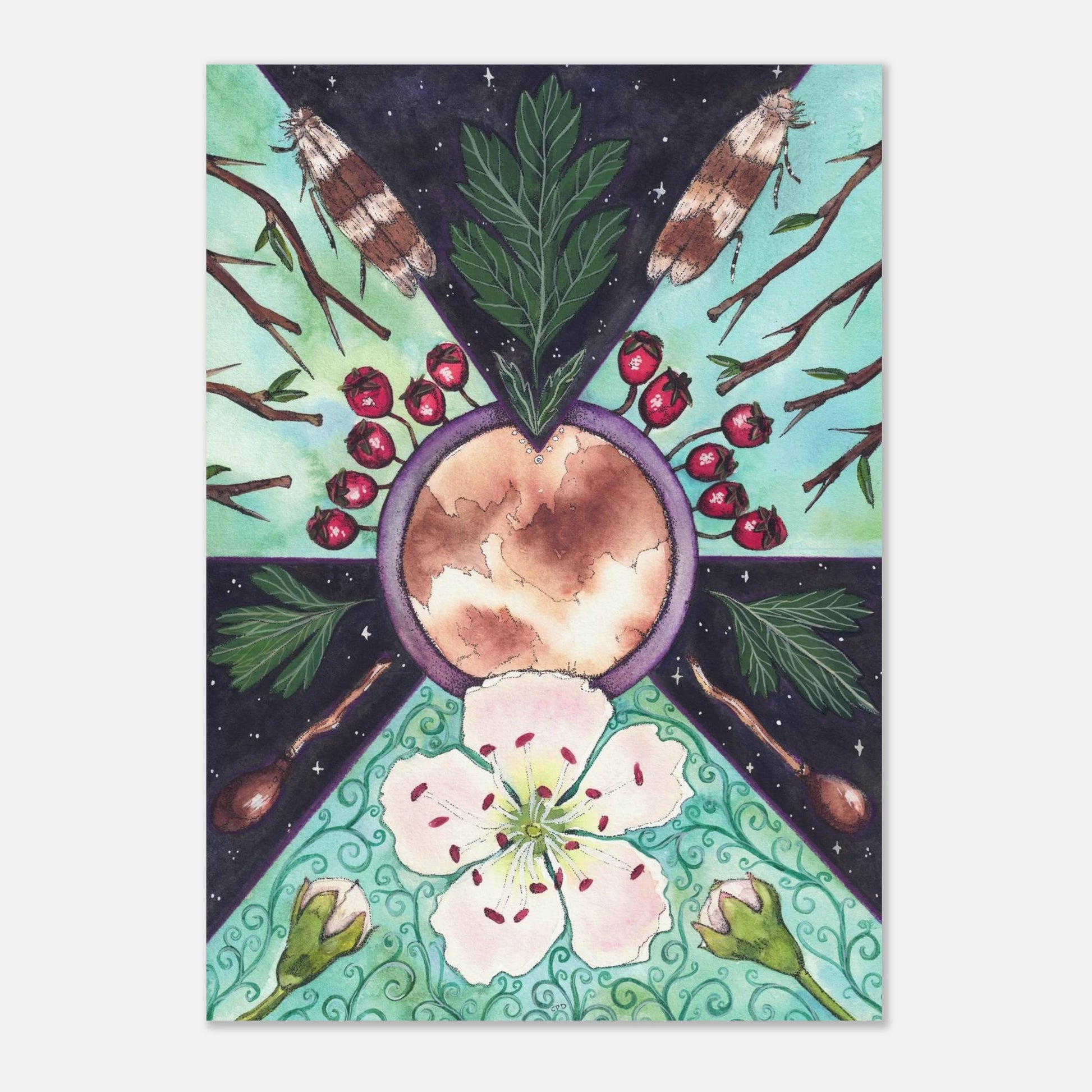 e35b77cc-692c-455e-9168-96a4523f69e2