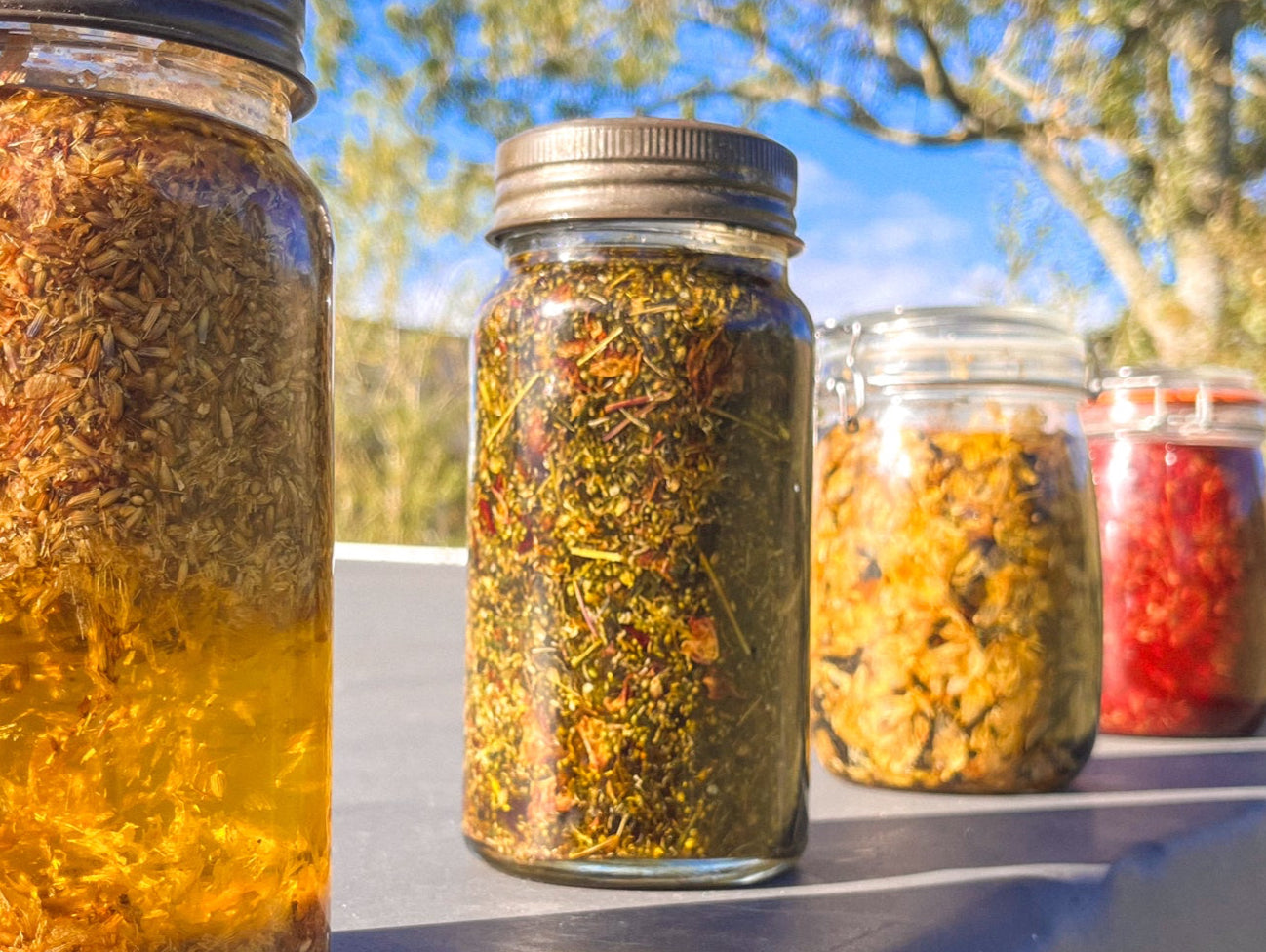 Breast & Womb Oil - mugwort, rose and yarrow