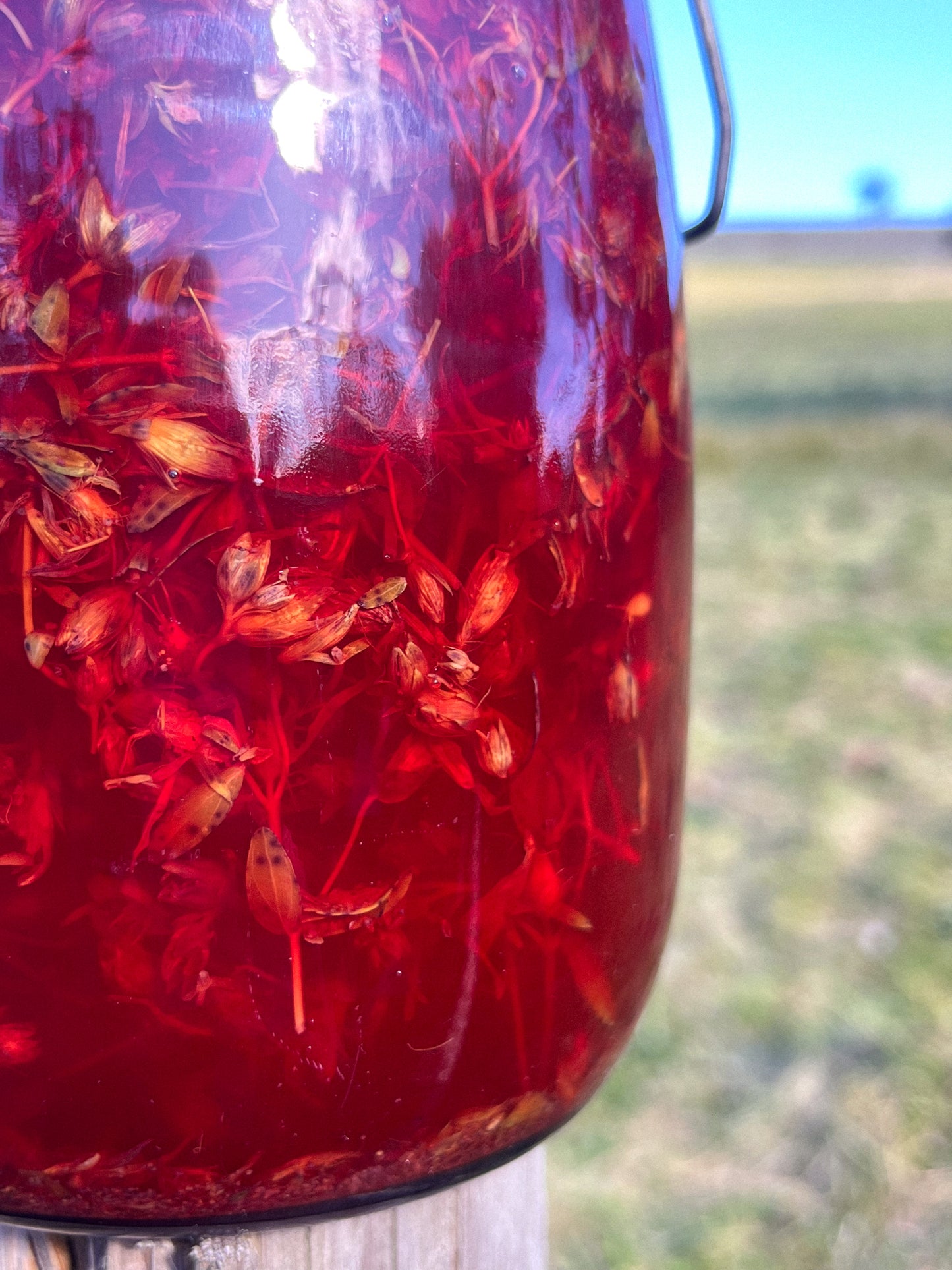 St. John’s Wort herbal Oil