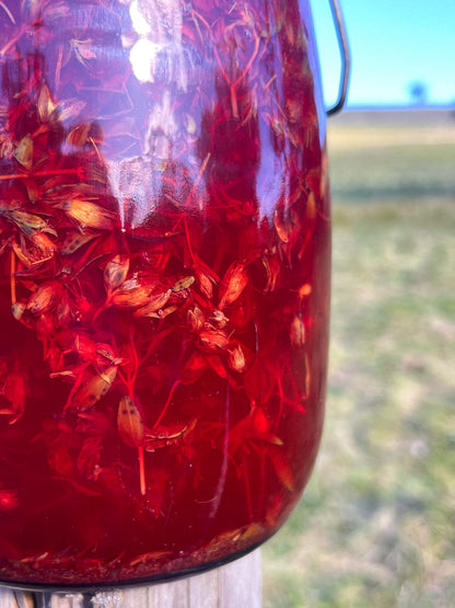 St. John’s Wort herbal Oil