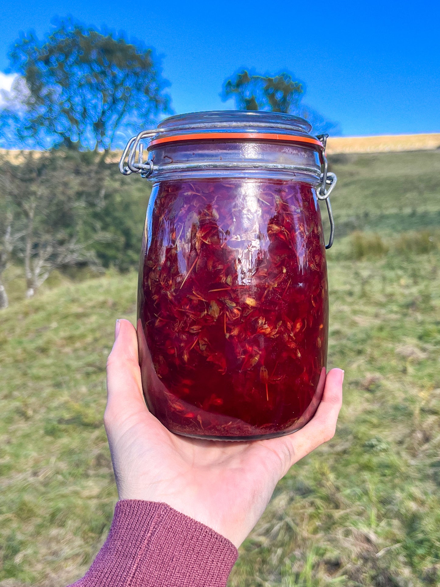 St. John’s Wort herbal Oil